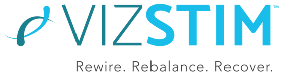 VIZSTIM LLC