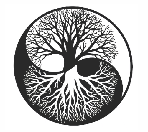 Somis Chiropractic & Wellness