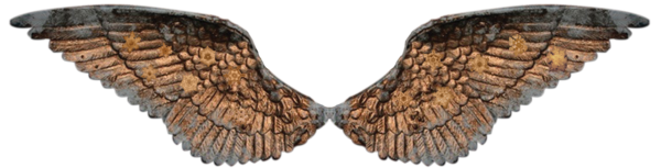 CHIROEVOLUTION | Diana L. Lawson DC