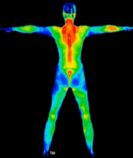 Book an Appointment with Eniko Fodor for Thermography